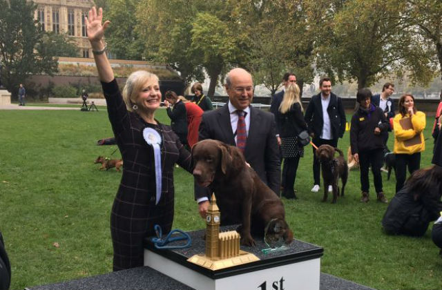 Photo of Lord Gardiner with Tracy Brabin MP and her winning dog Rocky at the Westminster Dog of the Year show 2017