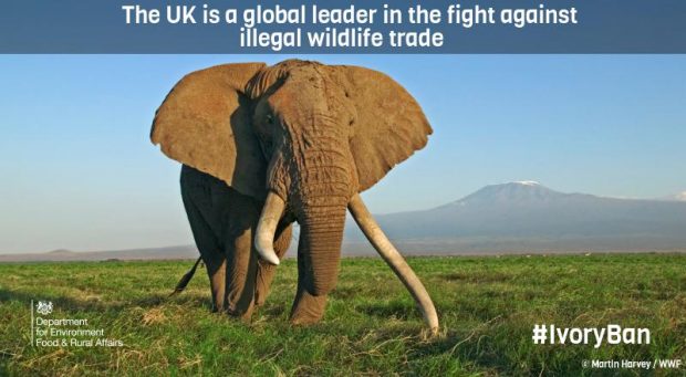 Graphic showing an elephant in Africa, with the statement 'The UK is a global leader in the fight against illegal wildlife trade'