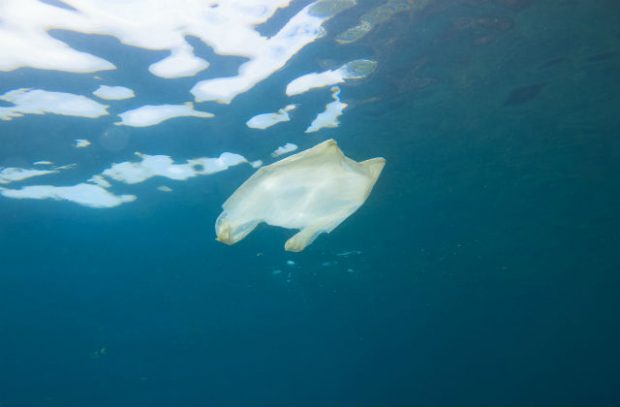 An image of a white plastic bag floating in the sea