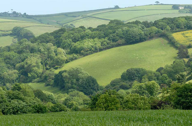 A photo of green fields and trees