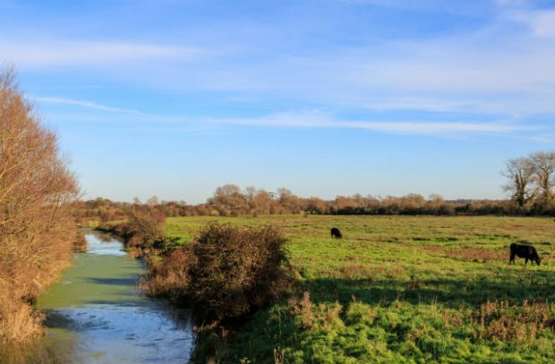 farm with river on left hand side