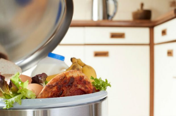 Kitchen bin with a milk bottle, eggs, salad, fruit and pizza emerging from it. 