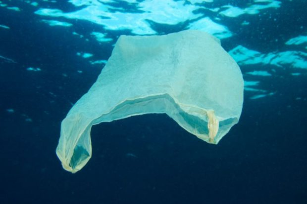 An image of a white plastic bag floating in the ocean.