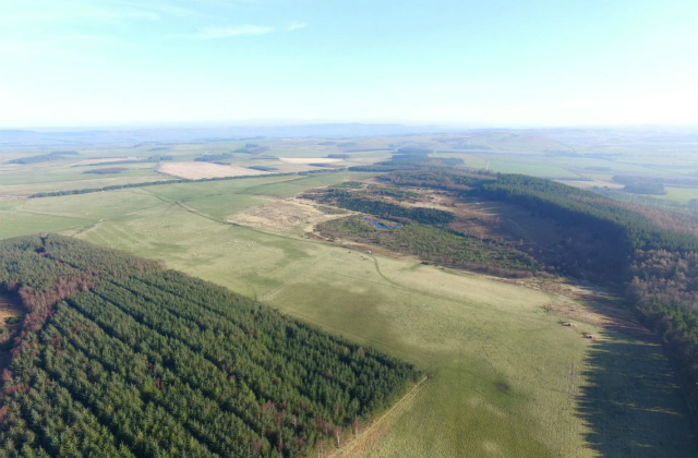 A picture which shows thousands of trees in a rural landscape taken from above