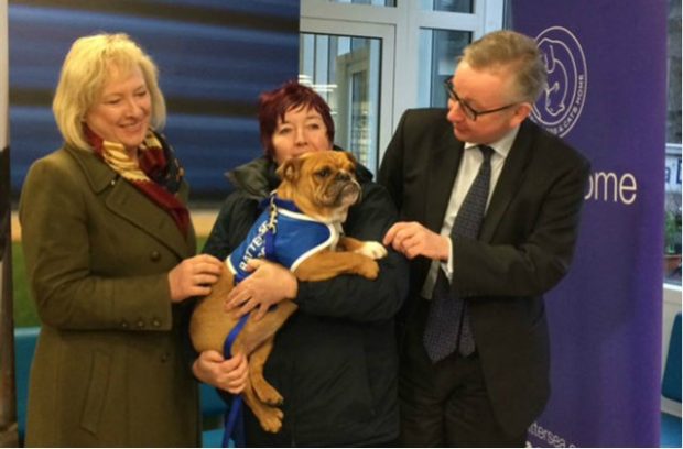 An image of Environment Secretary, Michael Gove, at Battersea Dog and Cat home