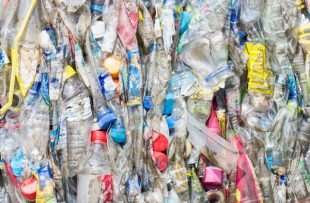 Photo of close up shot of bales of plastic bottles ready for recycling