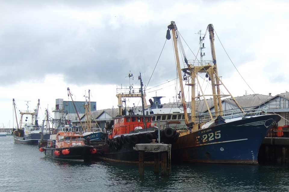 Fishing boats in a harbour 