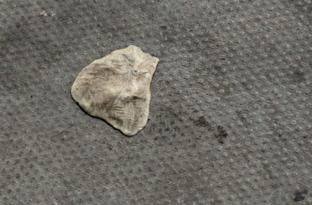 Photo of some squashed chewing gum on a pavement