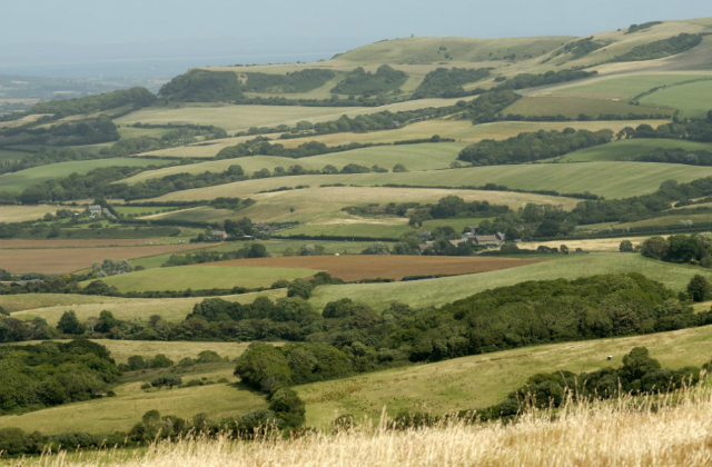 Green countryside spaces.