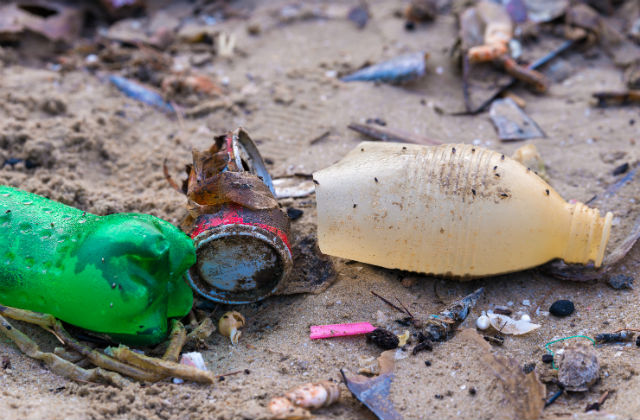 Picture of plastic litter on the beach 