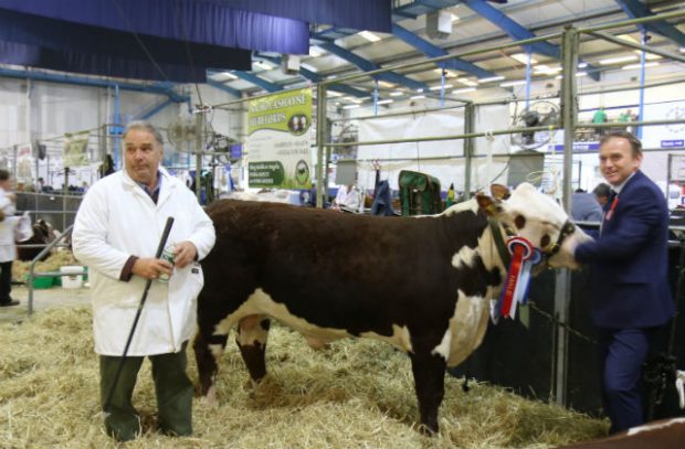 A picture of Minister George Eustice with a prize winning bull