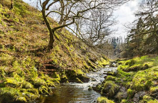 A picture of a river