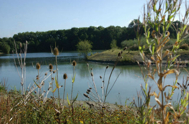 An image of a lake.