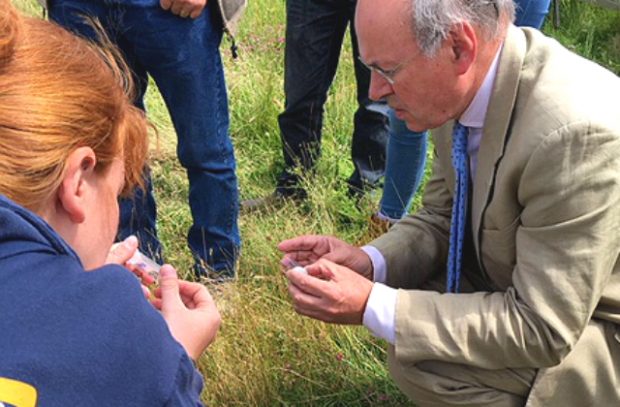 Lord Gardiner and a Bumblebee Conservation Trust expert looking at bees 