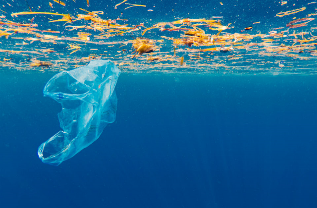 An underwater image of a plastic bag in the ocean.