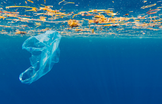 a plastic bag floating in the ocean