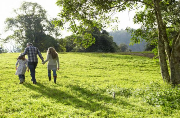 An image of a man and two children, holding hands walking through a green park with trees.