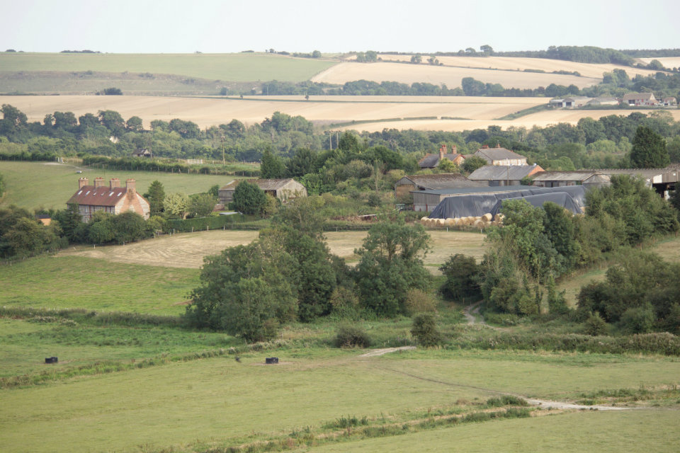 An image of green fields with trees and houses around them.