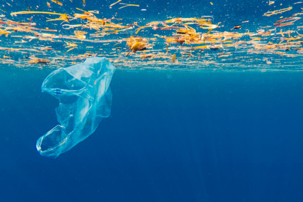 An image of a plastic bag in the ocean.