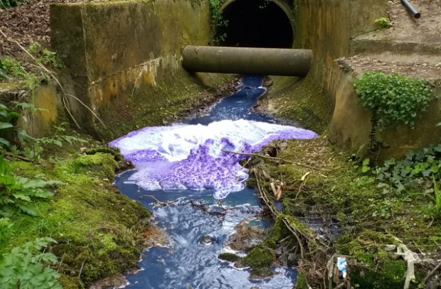 Image of the purple River Yeo following contamination.