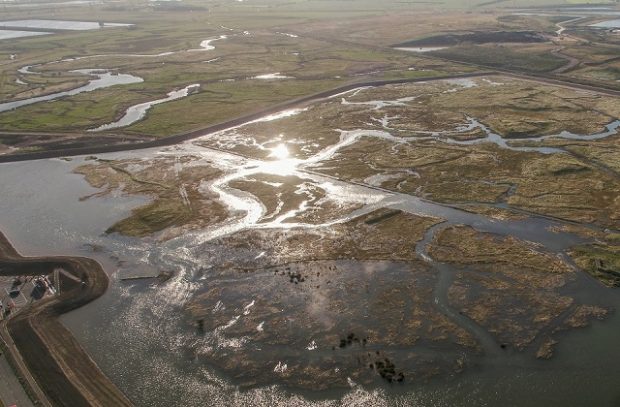 Image of flooded land taken from the air.