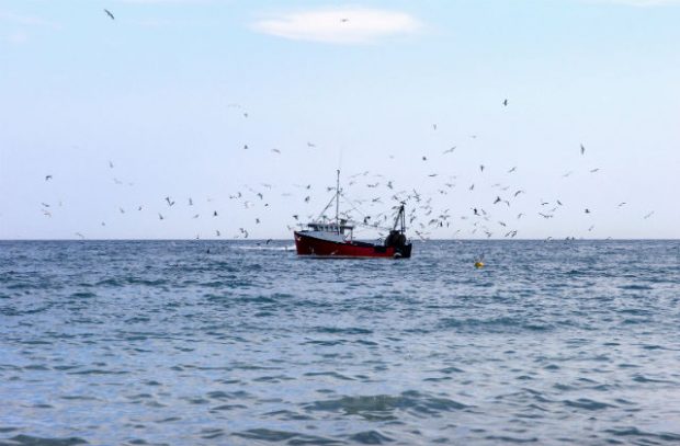 A fishing boat in the ocean surrounded by birds.