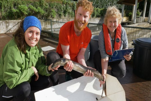 An image of Ros Wright, George Cowan and Sara Ramallo holding an eel.