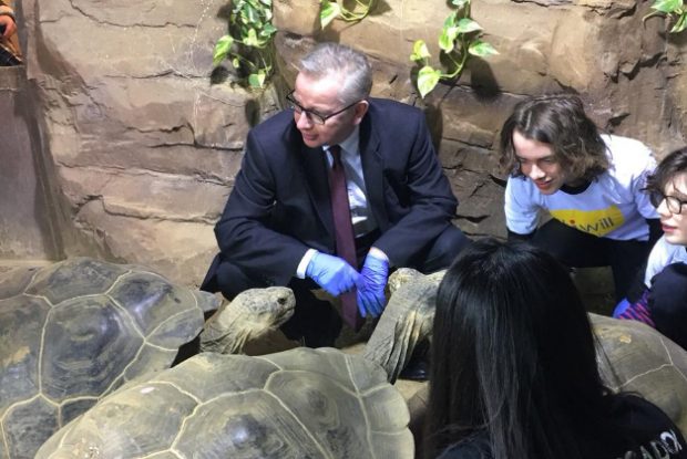 Environment Secretary feeding turtles at London Zoo.