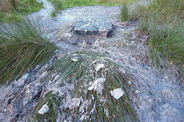 Polluted river with lots of rubbish caught in the grass