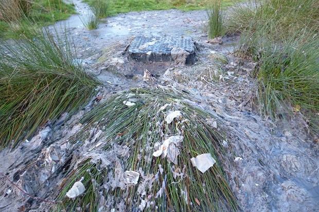 Image of a polluted river