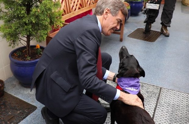 Animal Welfare Minister Rutley meets a black Labrador called Chase during his visit to Mayhew Rehoming Centre. 