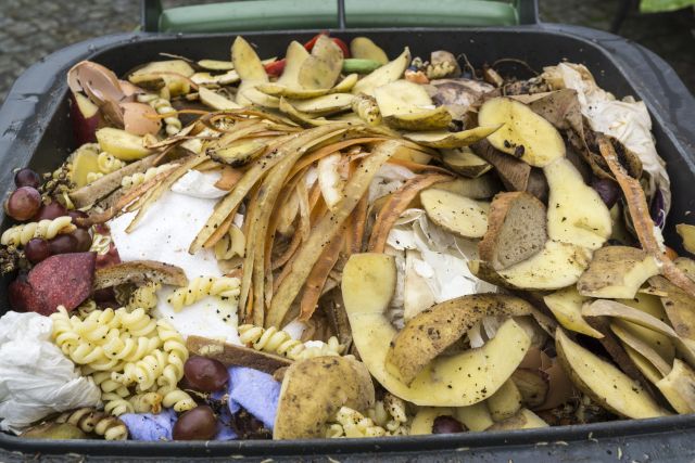 Image of food waste in a bin