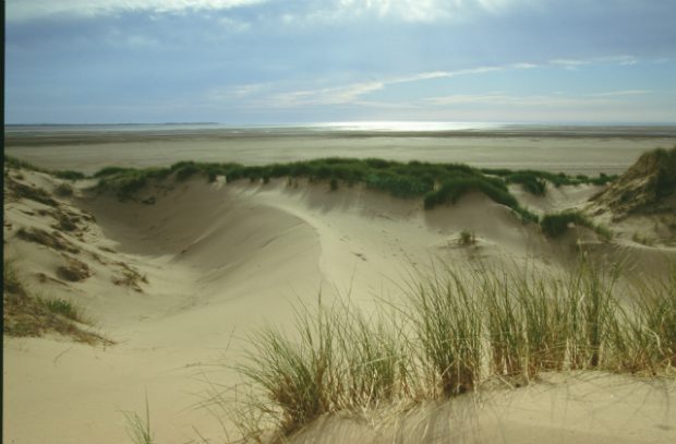 An image of a sand dune.