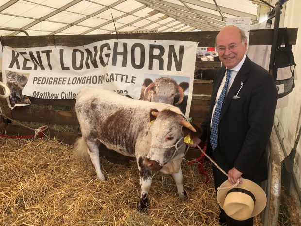 Lord Gardiner with a Kent Longhorn cow 