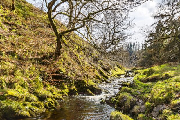 A photo of a river