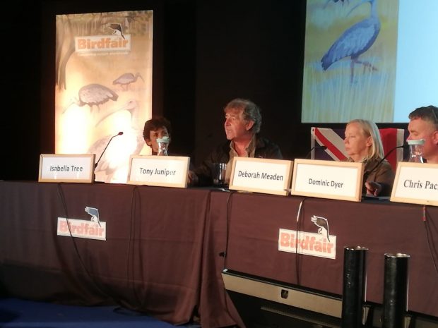 Tony Juniper sits at a table on a panel speaking at the Birdfair event alongside Isabella Tree, Deborah Meaden and Dominic Dyer