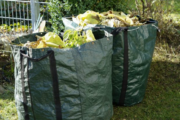 Two bags of leaves, grass and garden waste on a lawn.