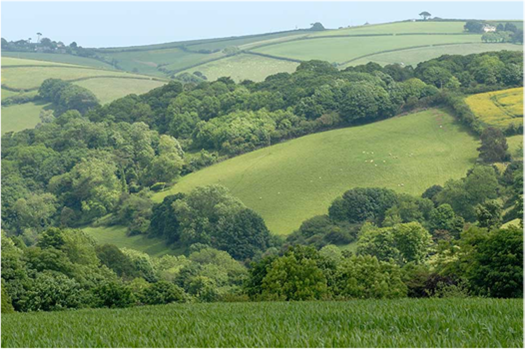Rolling hills with woodland and hedges separating various fields
