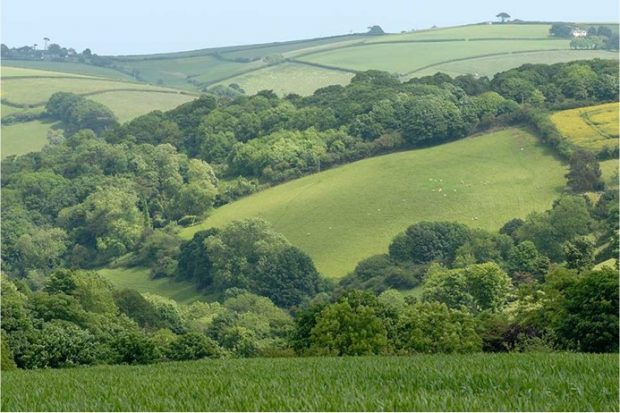 Rolling hills separated by woodland in English countryside