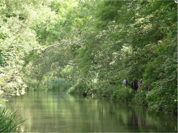The River Itchen flows through a green environment.
