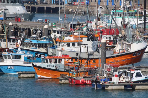 Fishing boats in harbour