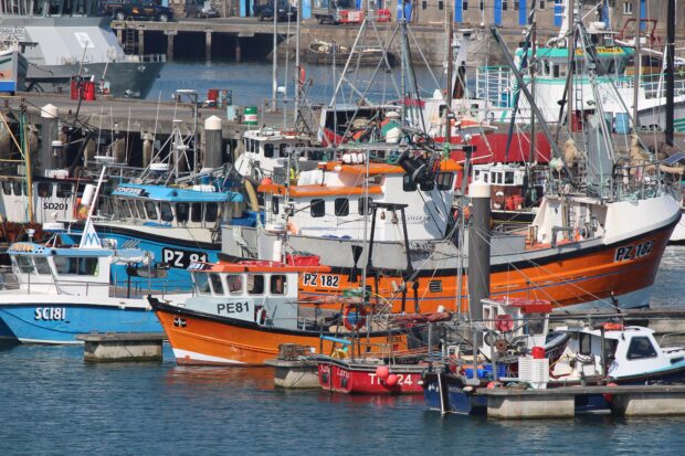 Fishing boats in harbour