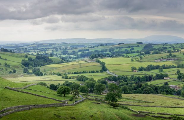 Vast green areas like the Yorkshire countryside and its natural habitats will be further protected by the Environment Bill