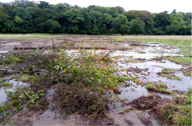 Image of the project during construction – water flowing in a green field with trees in the background.