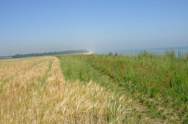 An image of the coast of Easton Bavents against a blue sky