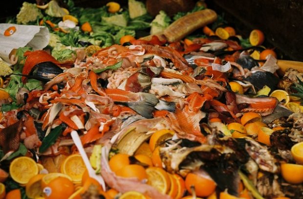 Scraps of food waste including various fruit and vegetable peelings
