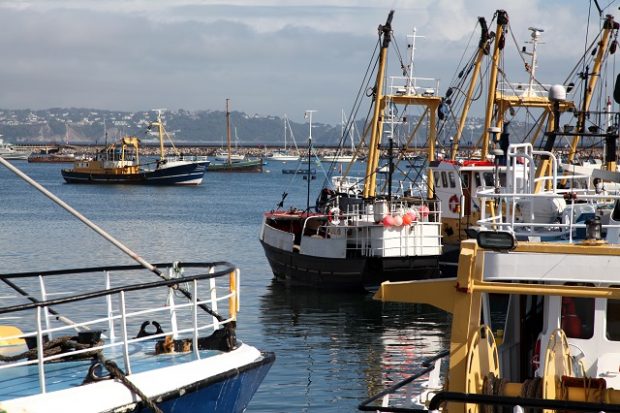 An image of fishing trawlers stationed in a harbour in Brixham.