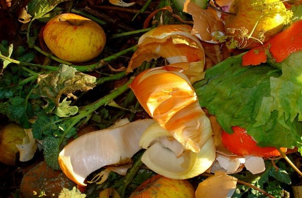 scraps of food waste such as fruit and vegetable peelings