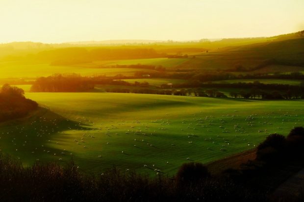 A view of several green fields with sheep