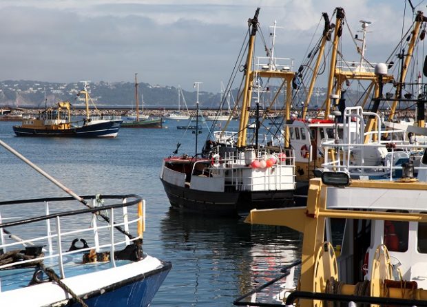 Fishing fleet in harbour